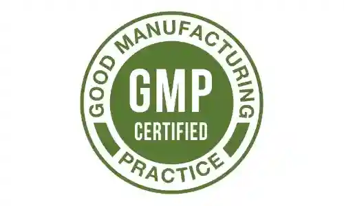 Cognivex GMP Certified Supplement Manufactured Under Quality Standards